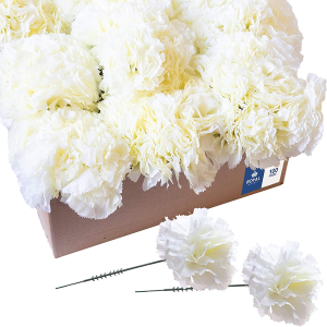 100 Ivory Silk Carnations, Artificial Fake Flower for Bouquets