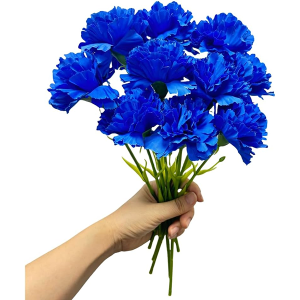 11 Inch Bouquets 10 Stem Carnations