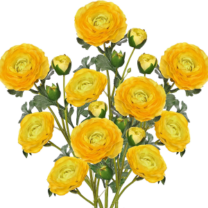 Arborus Yellow Ranunculus Artificial Flowers Bouquets