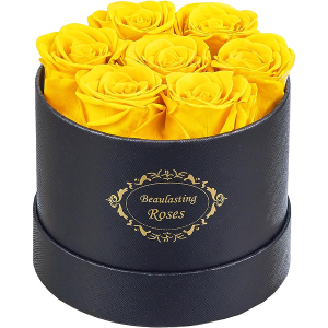 Beaulasting Long Lasting Preserved Roses in a Box