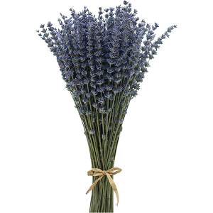 CoolCrafts Dried Lavender Bundles Lavender Bunches Dry Lavender Flowers for Home Decor