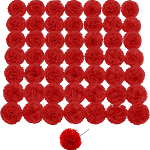 DH EYB Silk Carnation Flower, 50 Artificial Flowers