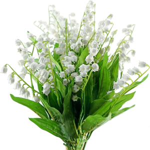 FiveSeasonStuff 18 Stems of Lily of The Valley White Artificial Flowers