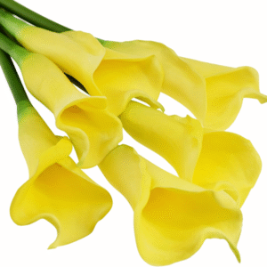 FiveSeasonStuff Real Touch Calla Lily Artificial Flowers