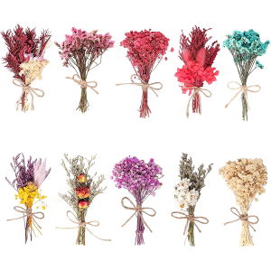 Fjgyjt 10 Pack Dried Flowers Bouquet
