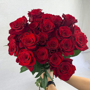 Fresh Cut 24 Red Roses - Fresh from the Farm Red Rose Bouquet