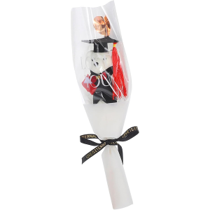 SHOWERORO Dr. Bear Graduation Bouquet