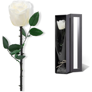 Valentines Day Gifts for Her
