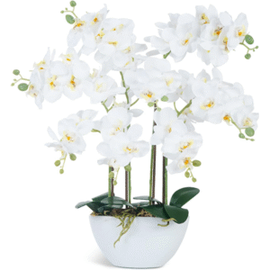 Ziwon Artificial Orchid Flowers & Plants Potted in Ceramic Pot